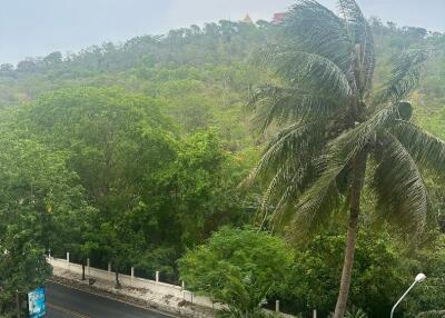 Scenic view from balcony overlooking lush greenery and street
