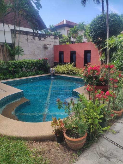 Spacious backyard with a swimming pool surrounded by lush greenery and flowering plants