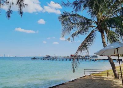 Tranquil beachfront with clear skies, palm trees, and a serene ocean view