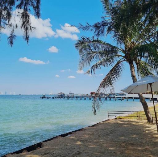 Tranquil beachfront with clear skies, palm trees, and a serene ocean view