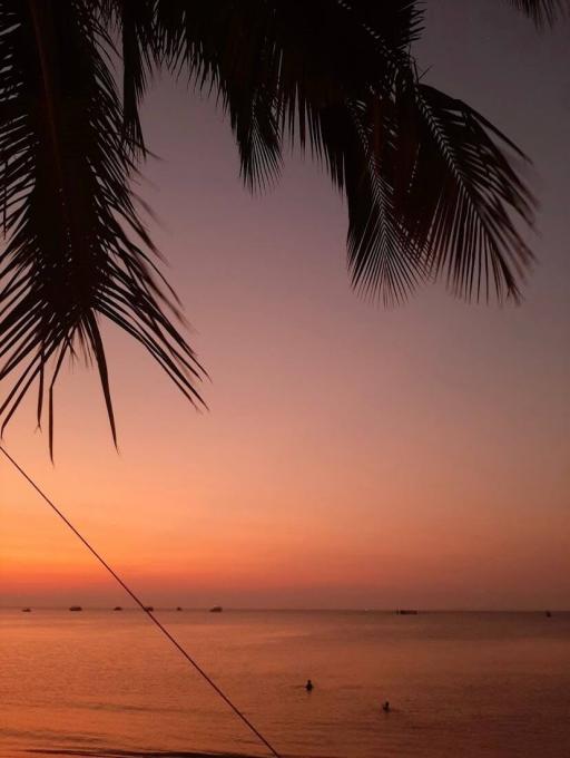 Tropical sunset view from a beachfront property with palm trees