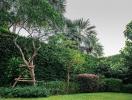 Lush green garden with a variety of plants and trees