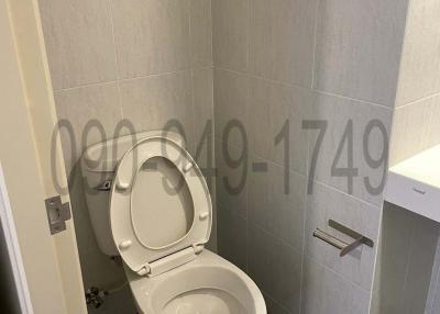 Modern bathroom interior with white ceramics and tiled walls