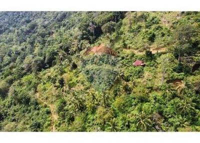 Sea View Land For Sale Developer Opportunity In Bophut