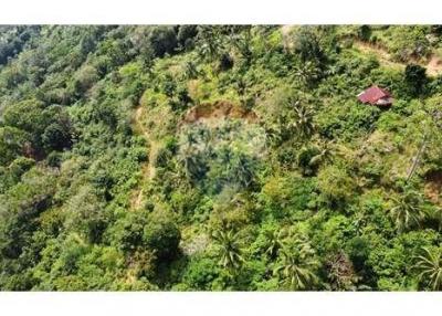 Sea View Land For Sale Developer Opportunity In Bophut