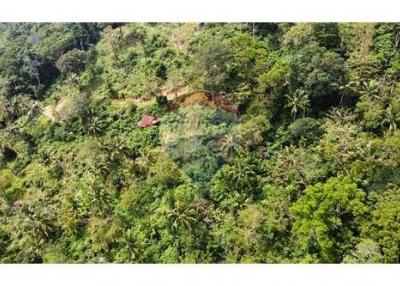 Sea View Land For Sale Developer Opportunity In Bophut