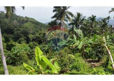 Sea View Land For Sale Developer Opportunity In Bophut