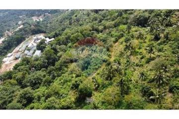 Sea View Land For Sale Developer Opportunity in Bophut