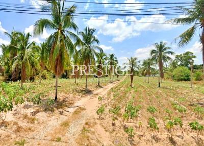 Land for sale in East Pattaya PP10307