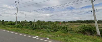 Empty land near a road with power lines and greenery under a cloudy sky