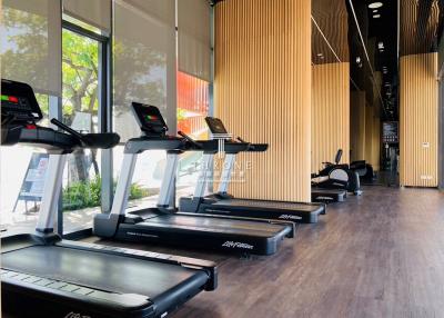 Modern gym facility with treadmills inside a residential building