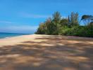 Beautiful sandy beach with clear skies and lush greenery