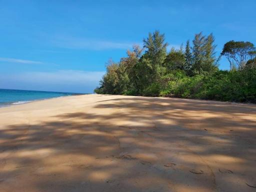 Beautiful sandy beach with clear skies and lush greenery