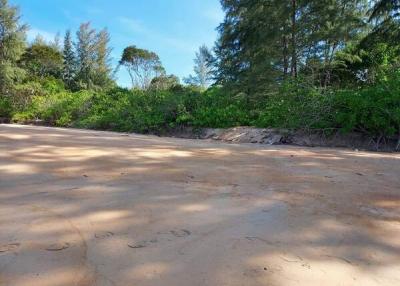 Sandy outdoor area near lush greenery