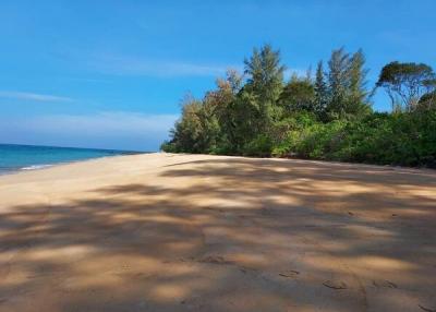 Secluded beachfront with clear skies and lush greenery