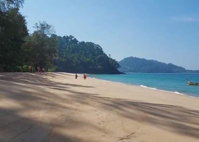 Serenity Beach with Blue Waters and Lush Greenery