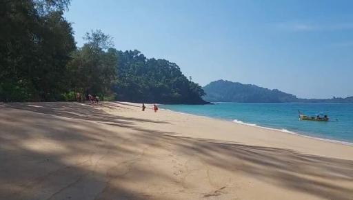 Serenity Beach with Blue Waters and Lush Greenery