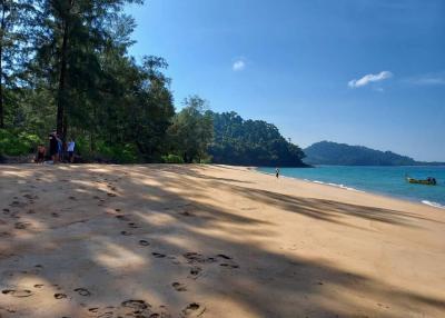 Scenic beach view with clear skies and lush greenery