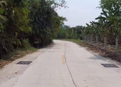 Paved rural road with surrounding vegetation