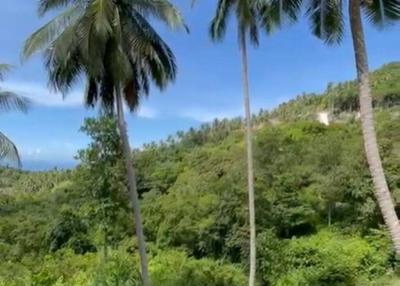 Exceptional 800 sqm Land in Haad Yao with Breathtaking Sea Views