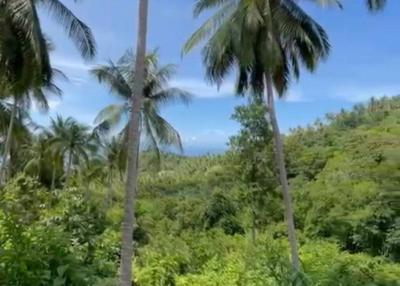 Exceptional 800 sqm Land in Haad Yao with Breathtaking Sea Views