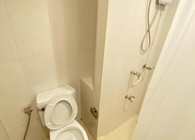 Compact bathroom with a toilet and stand-up shower space