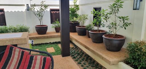 Cozy patio area with potted plants and bench