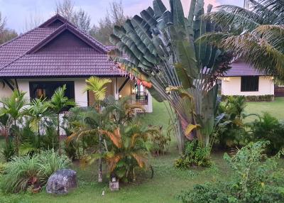 Lush garden with tropical vegetation and detached house under overcast skies