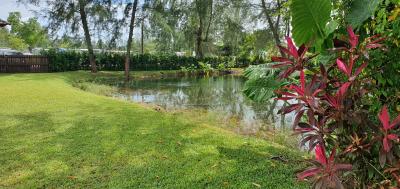 Lush garden with a pond and vibrant greenery