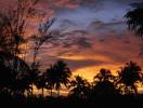 Beautiful sunset behind tropical palm trees