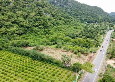 Aerial view of a lush green landscape with road and agricultural fields