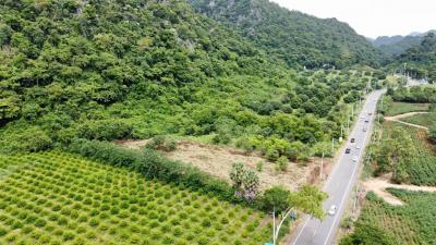 Aerial view of a lush green landscape with road and agricultural fields