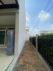 Side yard of a modern home with narrow gardening space and boundary fencing