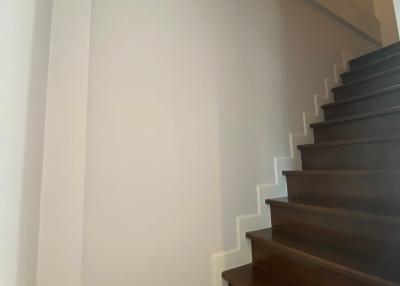 Clean interior staircase with wooden steps and white walls