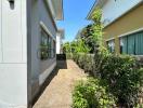 Exterior view of a residential building with garden pathway