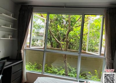 Cozy bedroom with large windows overlooking greenery