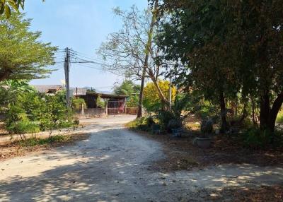 Spacious outdoor area with natural shade and concrete pathway leading to the property