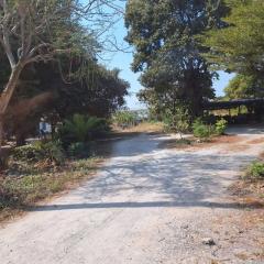 Unpaved driveway leading to a property with lush greenery and trees
