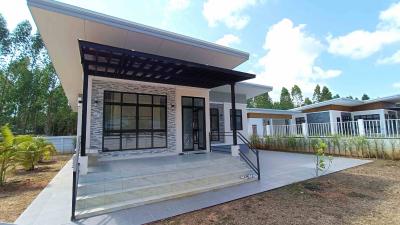 Modern single-story house with spacious front porch and garden