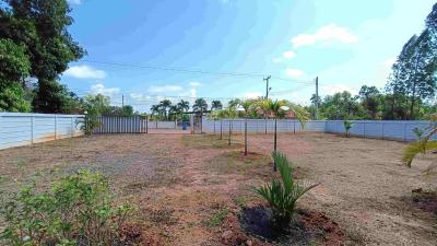 Spacious residential land with perimeter fencing and young palm trees