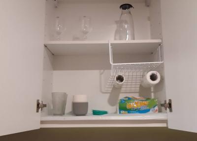 Interior of a kitchen cabinet with cleaning supplies and dishes