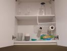 Interior of a kitchen cabinet with cleaning supplies and dishes