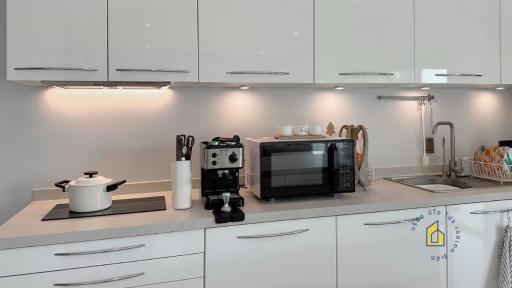 Modern kitchen with white cabinetry and built-in appliances