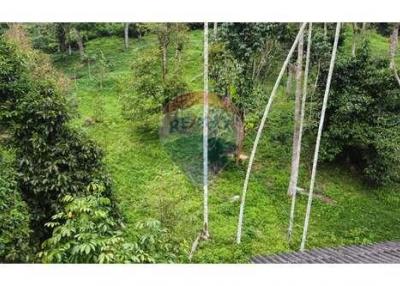 Plot Land  With Nature View  At  Mae Nam, Koh Samui