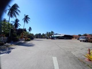 Spacious outdoor area with clear blue skies and palm trees