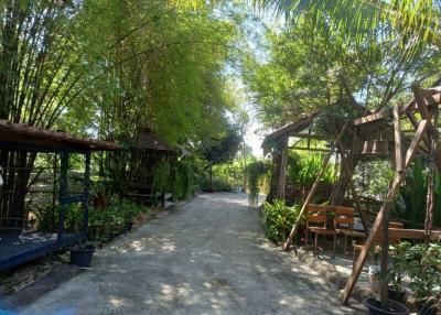 Serene outdoor garden with bamboo and lush greenery