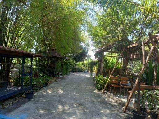 Serene outdoor garden with bamboo and lush greenery