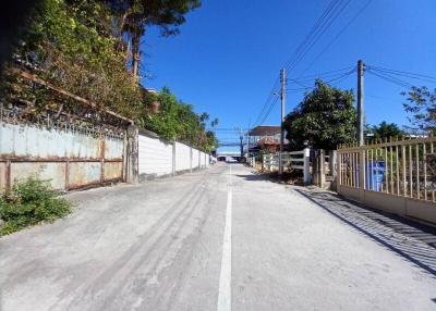 A sunny residential street with fences and lush greenery