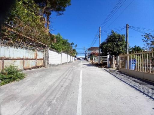 A sunny residential street with fences and lush greenery