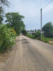 Unpaved road leading to residential area with tropical vegetation